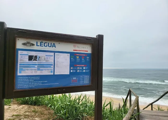 Nazare Uninterrupted Views And Sounds Of The Sea Apartment